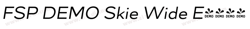 FSP DEMO Skie Wide E字体转换